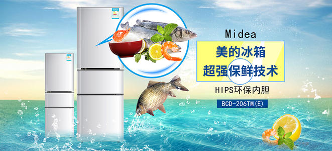 高中及以下学历可以考什么证书
